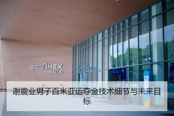 谢震业男子百米亚运夺金技术细节与未来目标 - mk